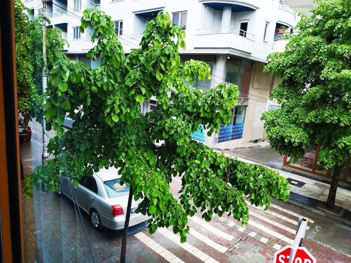 Lovely Apt At The Heart Of The City&Near The Lake Pogradec Eksteriør bilde